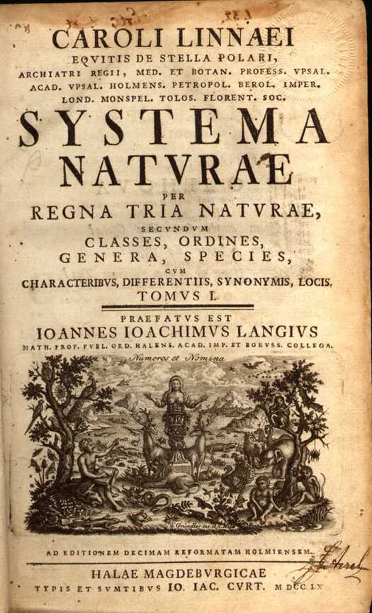 《自然系统》的早期版次书影。 · Carl Linnaeus · Public domain · 网页等比例缩放展示