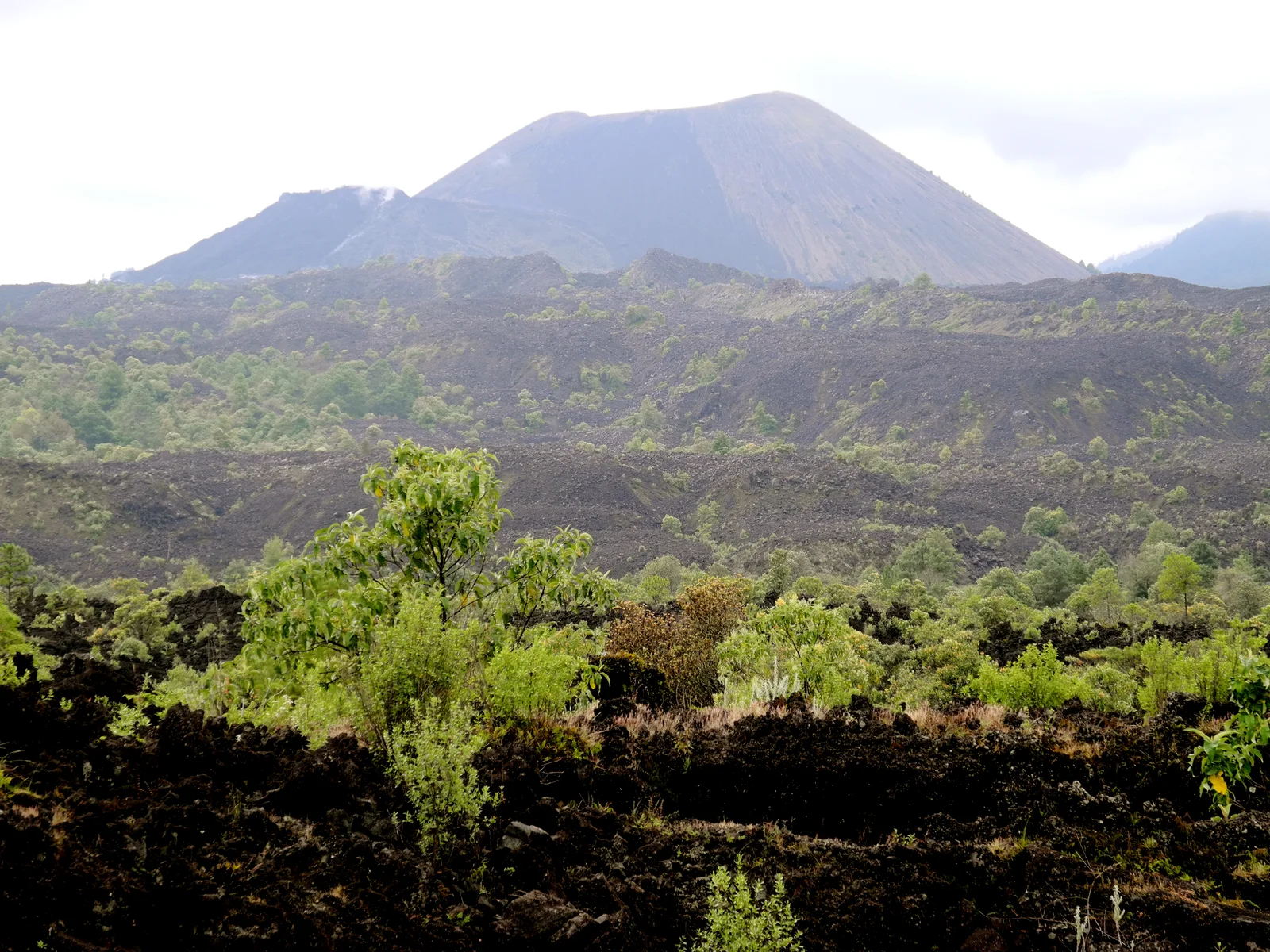 Parícutin · 帕里库廷火山