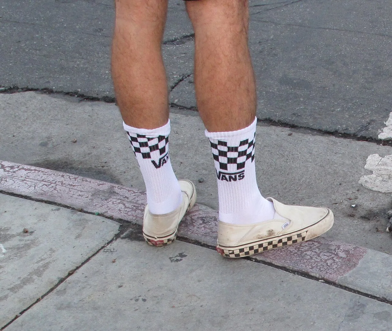 Vans 运动鞋与袜的搭配实拍。 · 图像文件署名：Downtowngal；CC BY-SA 4.0；网页缩放，原始文件保留。
