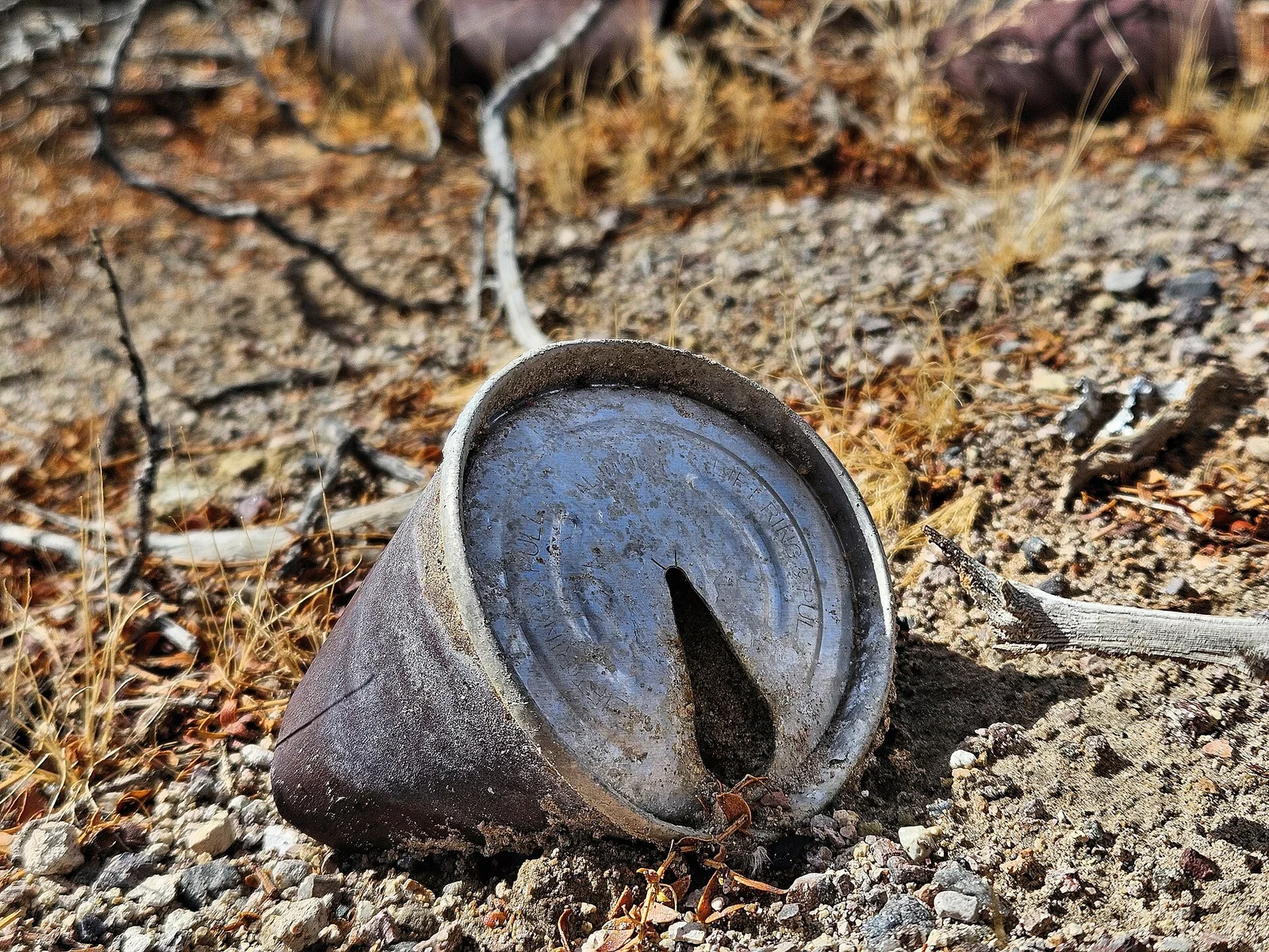 Pull-Tab Beverage Can (Ermal Fraze)