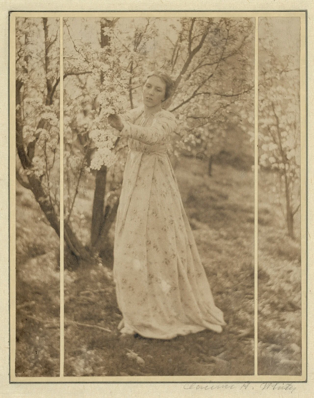 Clarence H. White 摄，公有领域（国会图书馆）——《春（三联画，莱蒂夏·费利克斯）》，纽瓦克，俄亥俄，1898
