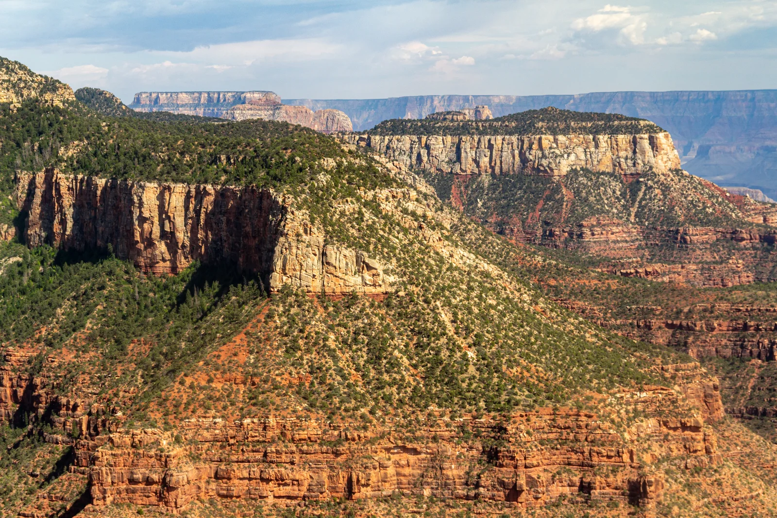 Grand Canyon · 科罗拉多大峡谷