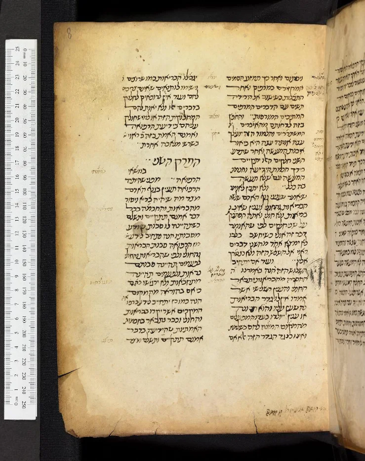 《医典》抄本页（Bodleian 藏）；这部教科书流传的实物形态。 · Avicenna · CC BY 4.0 · 网页等比例缩放展示