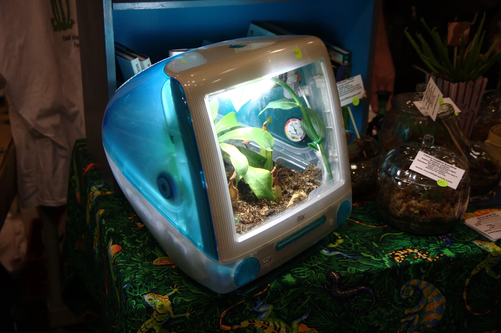 iMac G3 半透明机箱近景：颜色与半透明属于塑料本体。Steve Rainwater 摄，CC BY-SA 2.0，经 Wikimedia Commons。