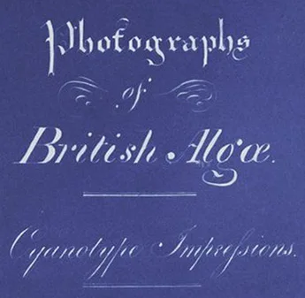 Anna Atkins 制，公有领域——《大不列颠海藻》手写扉页（细节），1843