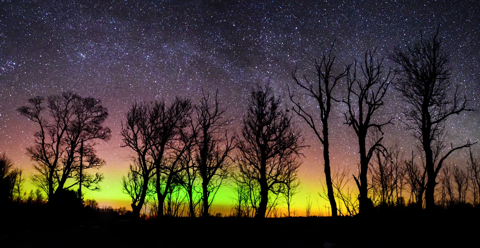 Kristian Pikner 摄（Wikimedia Commons），CC BY-SA 4.0