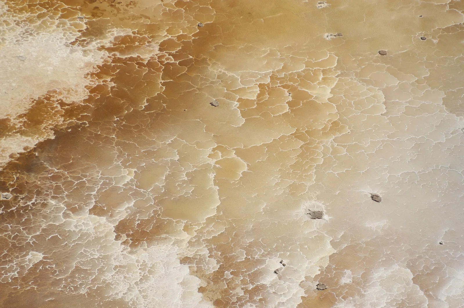 Dead Sea · 死海
