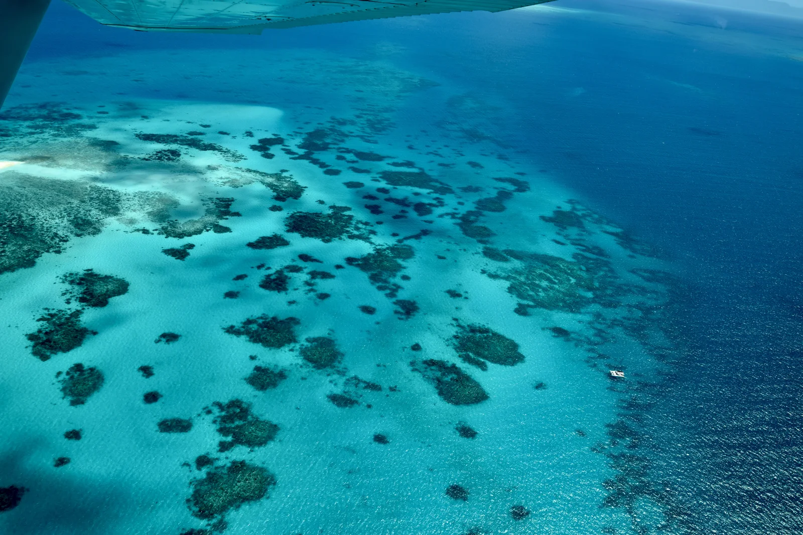 Great Barrier Reef · 大堡礁