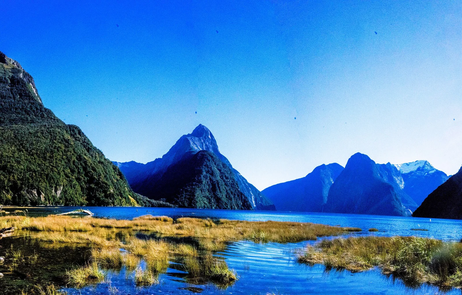 Milford Sound · 米尔福德峡湾