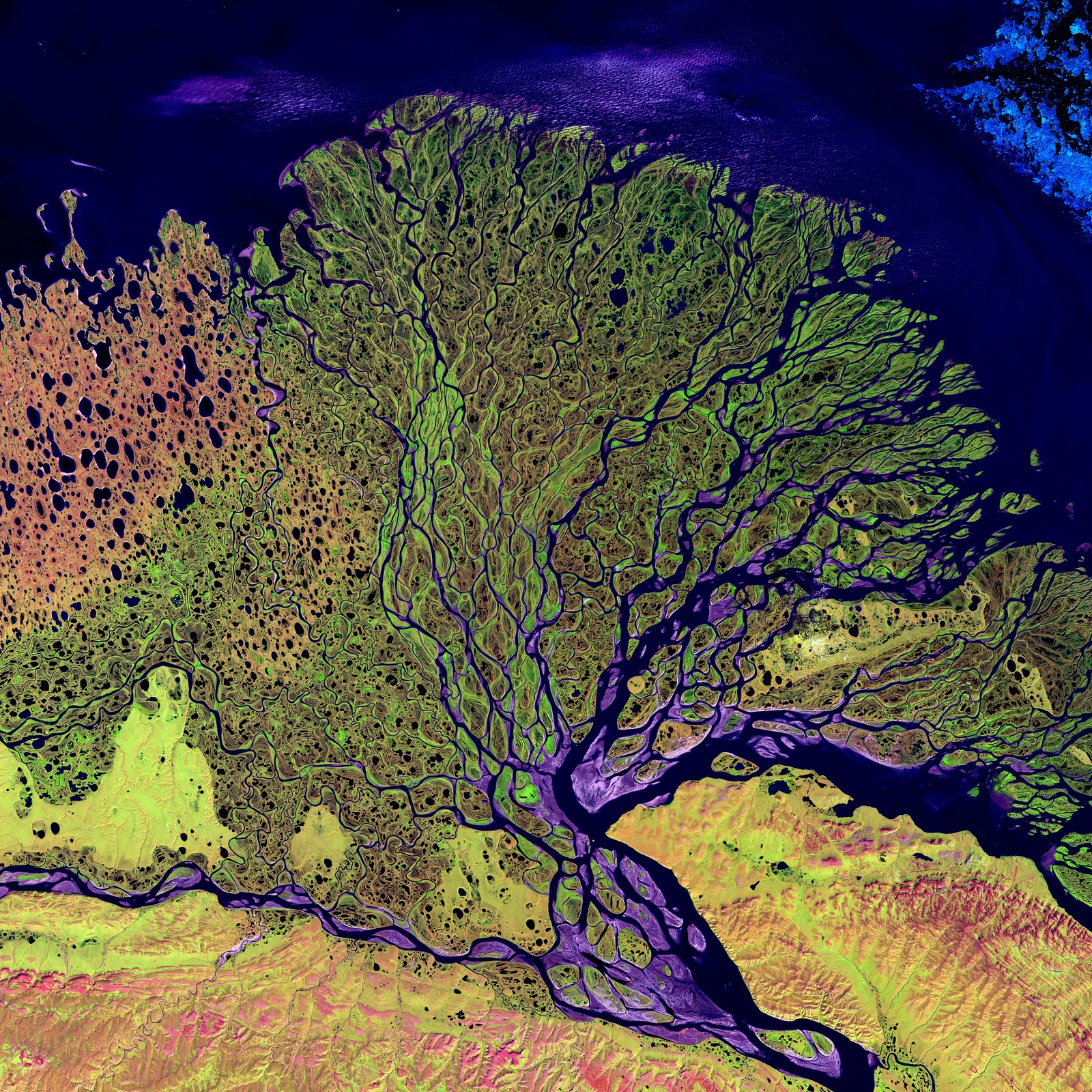 Lena River Delta · 勒拿河三角洲