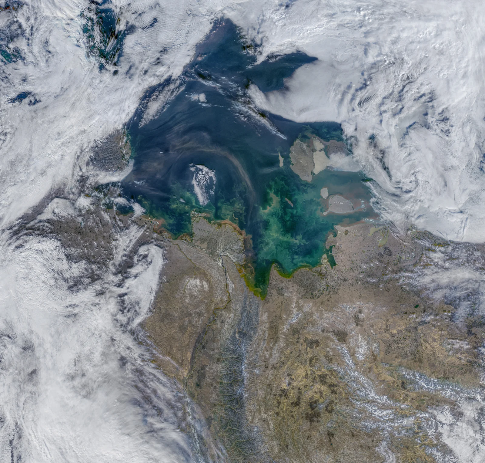 2020年9月10日 · Aqua MODIS；NASA / Norman Kuring、Ocean Color Web，数据来自 NASA EOSDIS/LANCE 与 GIBS/Worldview。原发布经过色调分离与过滤。