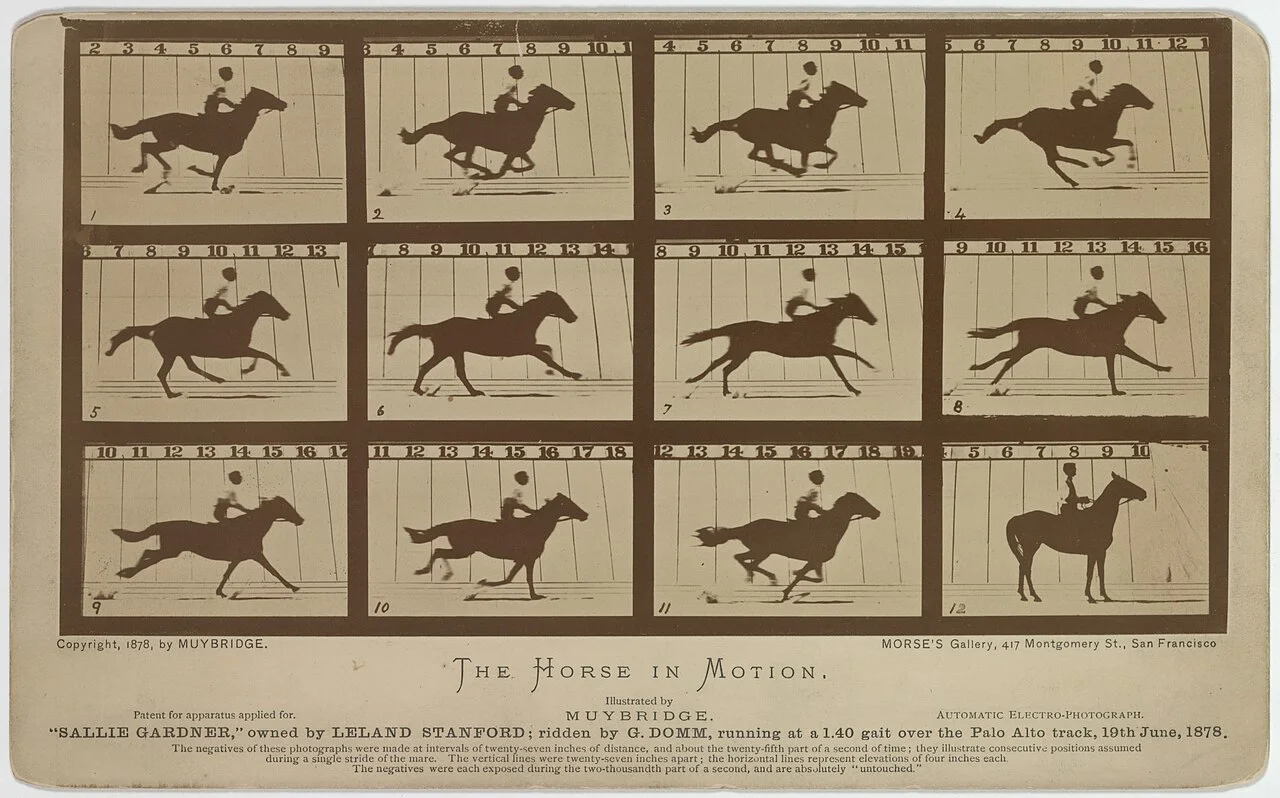 Eadweard Muybridge 摄，公有领域——《'萨莉·加德纳'》底片版，1878