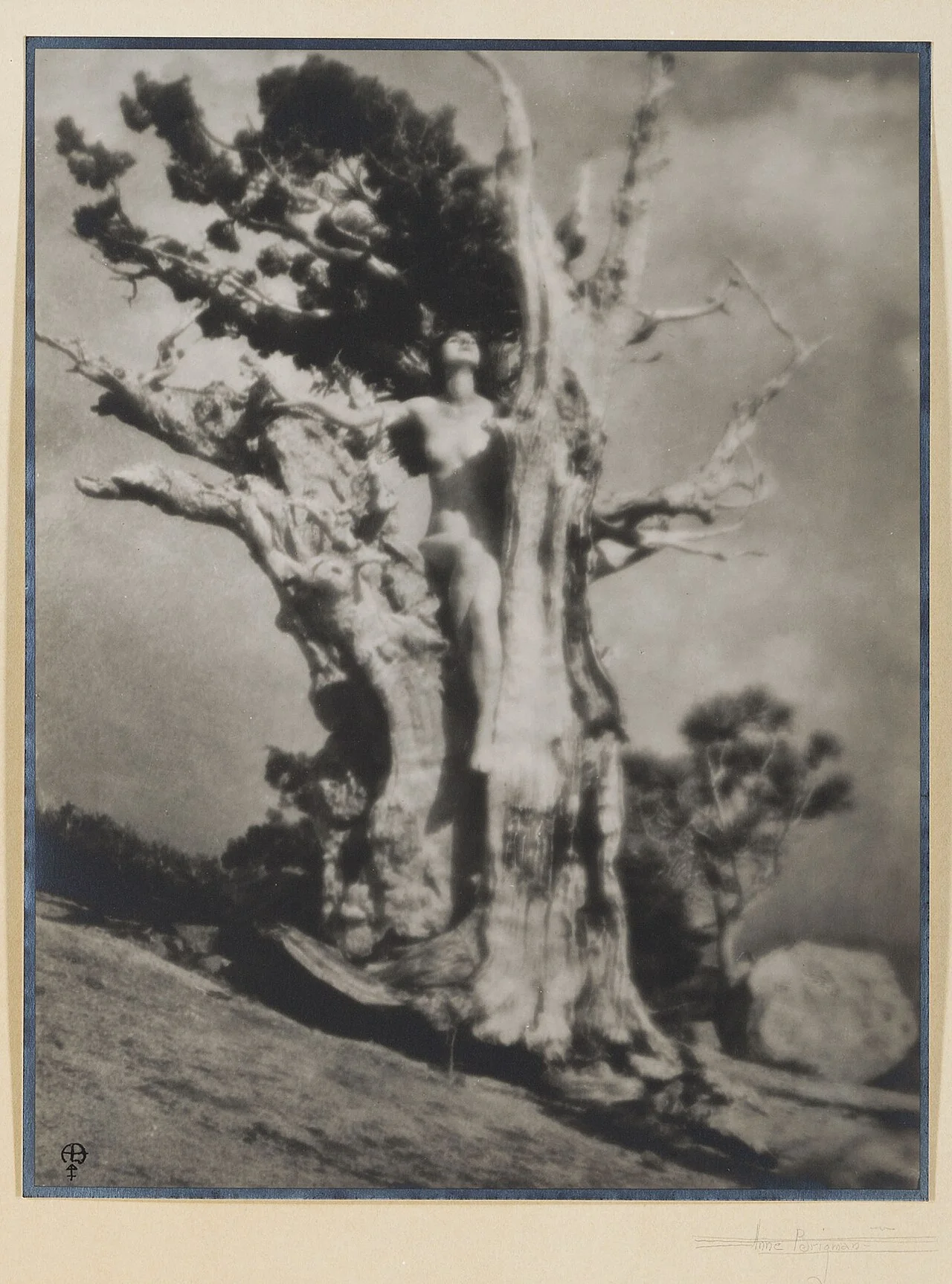 Anne Brigman 摄，公有领域——《不屈》，约 1924