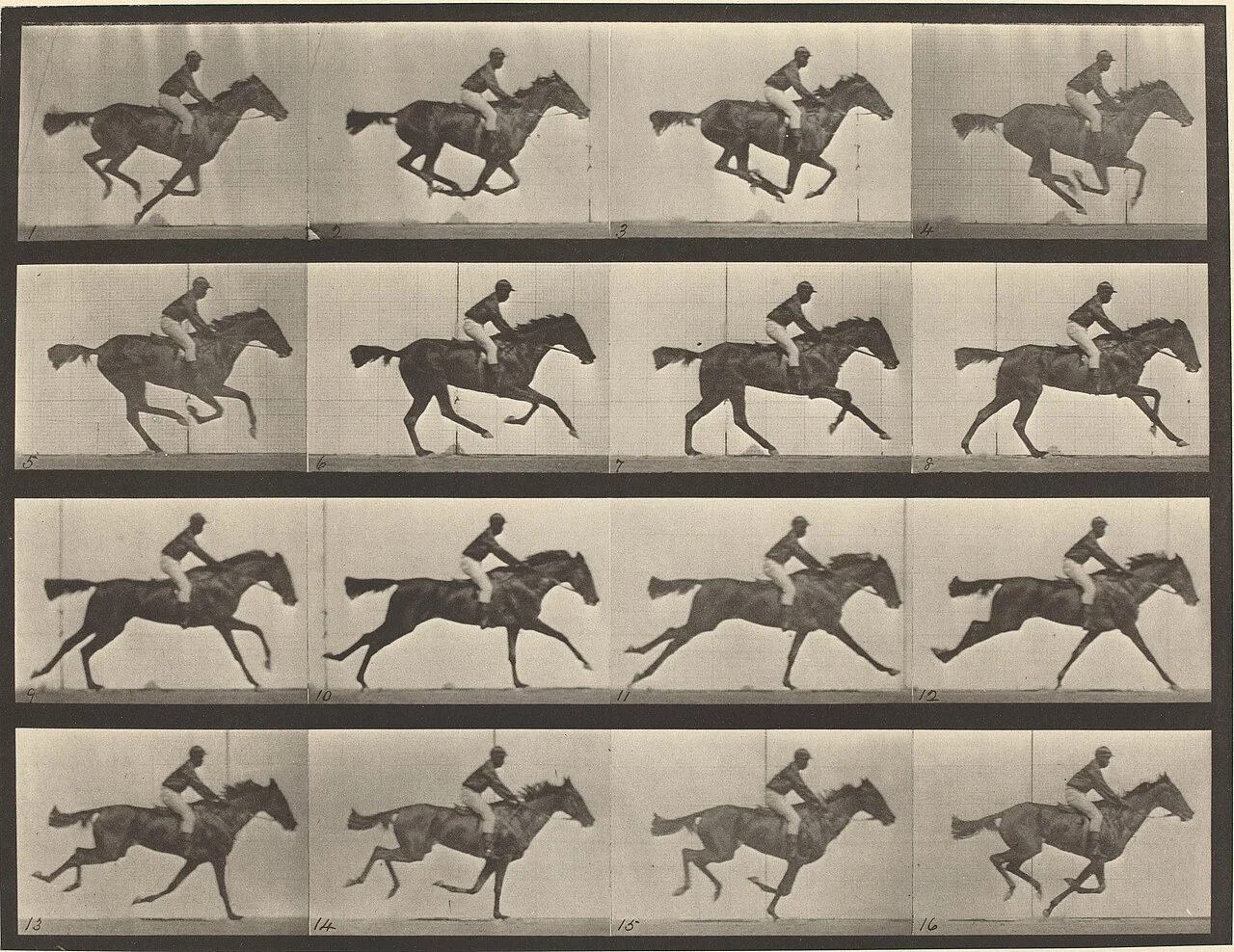 Eadweard Muybridge 摄，CC0（美国国家美术馆藏）——《动物运动》图版 626，1887