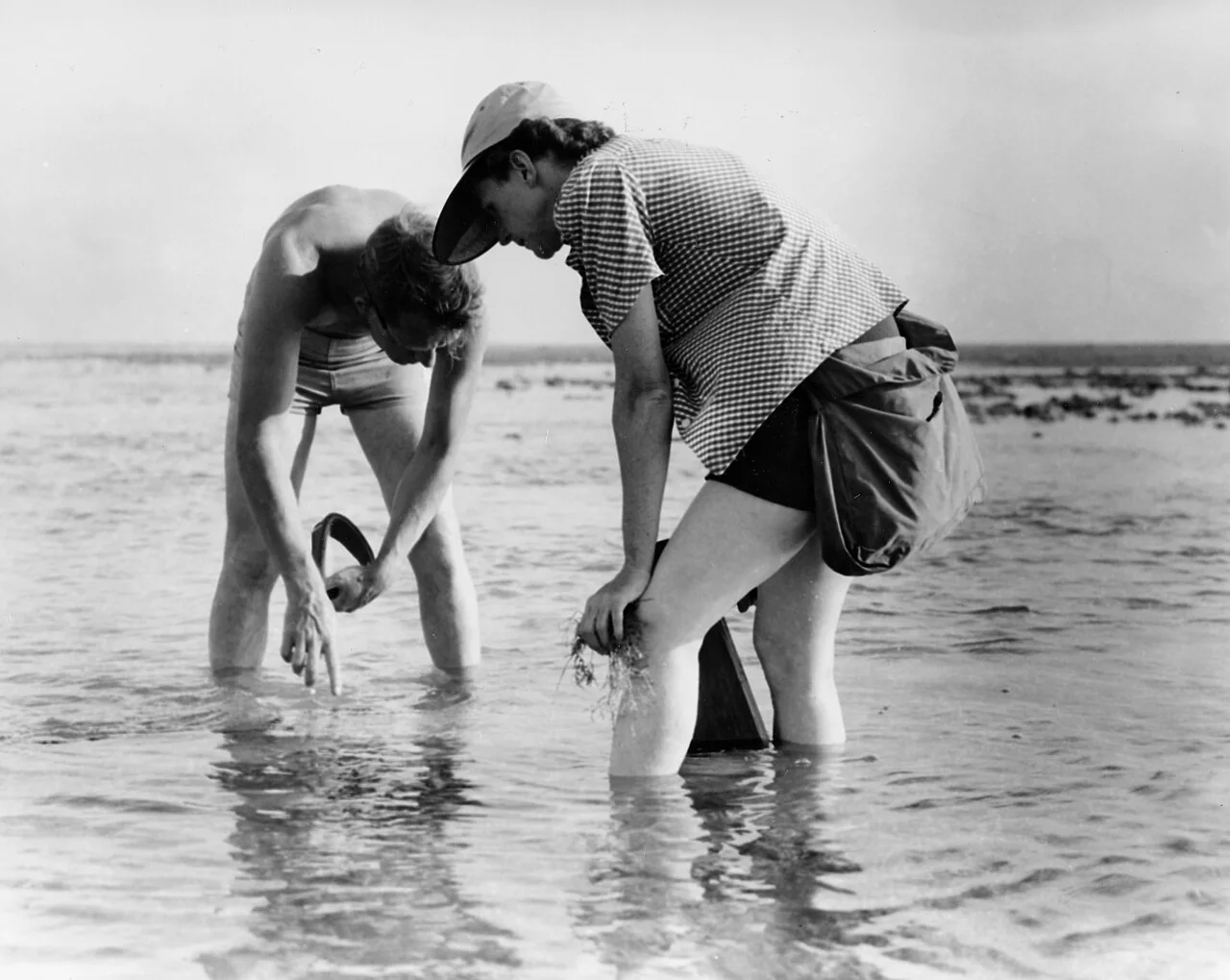 卡森与Bob Hines进行海洋生物研究的历史照片。 · U.S. Fish and Wildlife Service · Public domain · 网页等比例缩放展示