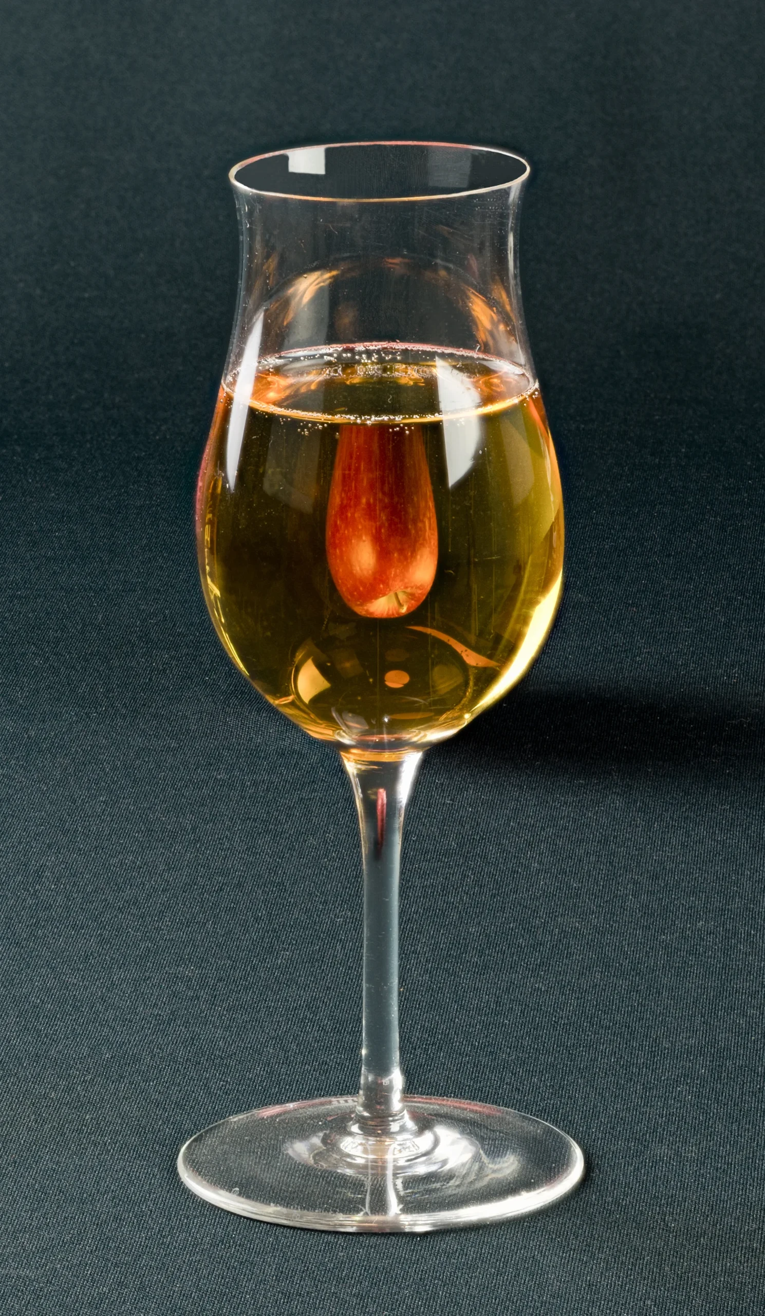Riedel Sommeliers Series