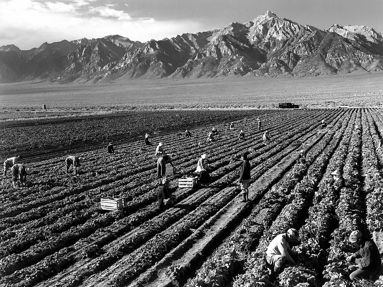 Ansel Adams 摄（美国国家档案馆），公有领域——Farm workers and Mt. Williamson, Manzanar, ca. 1943（注意：此为亚当斯曼扎纳系列作品，非《巨石》）