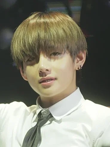 V 于台北 TRB 场演出 · Taehyung's Moment · CC BY 4.0
