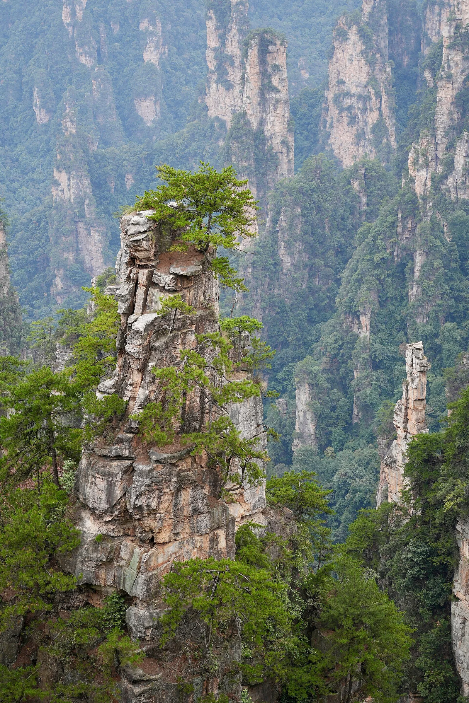 Zhangjiajie · 张家界