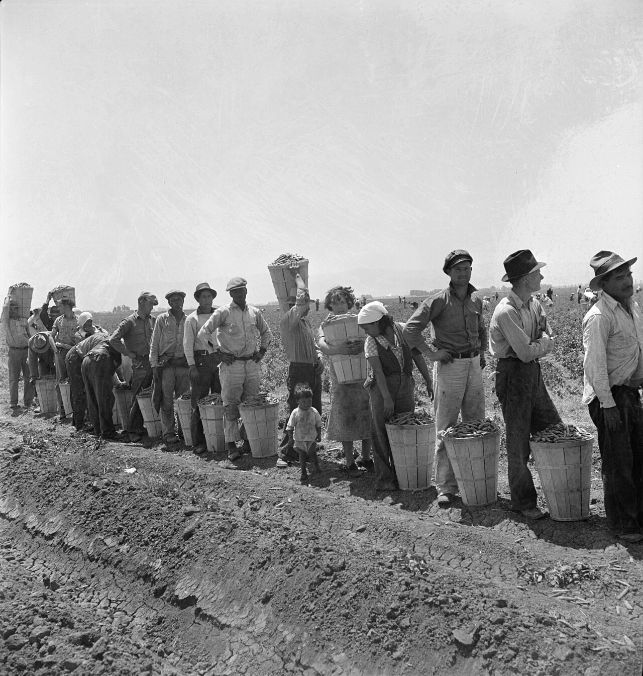 Dorothea Lange 摄，公有领域（FSA）——尼波莫营地，豌豆采摘者排队交篮